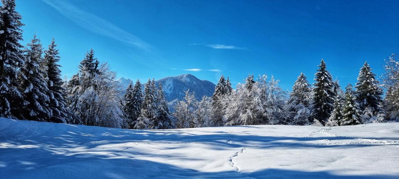 Apartma Ursic Kranjska Gora Exterior photo